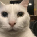 avatar TungTungSahur