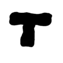 realtimexo