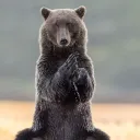 Аватар rom4ik6453