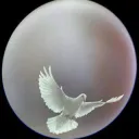 argentumm