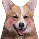 dkrugj3