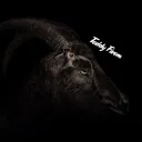 teddy.7z