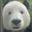 dorodorororo