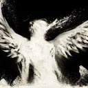 itsnotgravity avatar