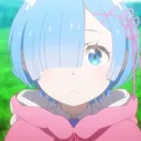 nikarogachov