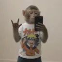 mammoh