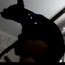 scamedaplay