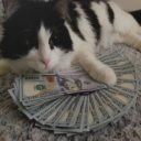 matenzo