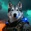 w1nsok