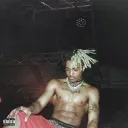 xorvr