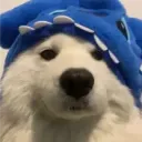 jrowo_