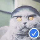 Discord Avatar