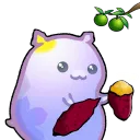zutto_ponta_hcc