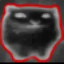 kittieeeeeeeeeeeeee