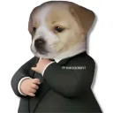 teddy.diaz_23 avatar