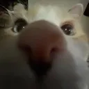 vulcanl avatar