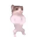 teddy2x9 member profile picture