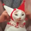 fezhoof