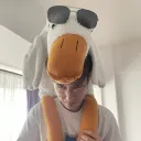 wolfypro