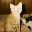 enriquehurtado avatar