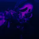 xmoonlight13x