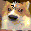 flamingphoenixx