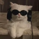 tjayx