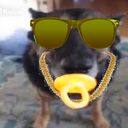Exoticy