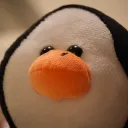 lnyn