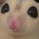 .mameworm