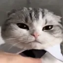 mrstalyn_