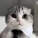 mrstalyn_