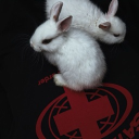 avatar Эляяяяя†