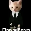 elinsanowasaaa avatar