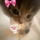 miauzzk
