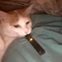 johndust2