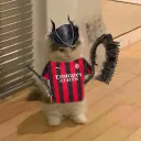 termoronny