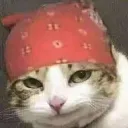 dankfred