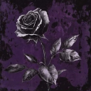 avatar ᴅᴏʟʟ ྀིྀི