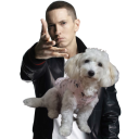 avatar AcidQ2.0( º _ º)