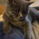 darealsour