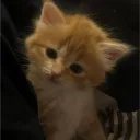 Аватар killya5395