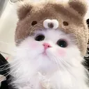 phamdoanduc