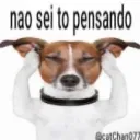 bruninzada