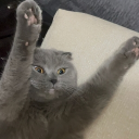 avatar Alvaro Sirena