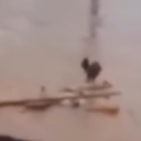 avatar rexhahahahahaha ☨