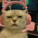 avatar 🫧the nestea🫧