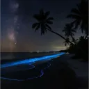 itz_lafrakai