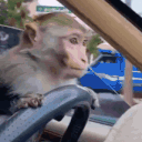 monke_vr96og