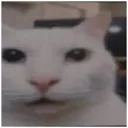 riceinyoursink avatar